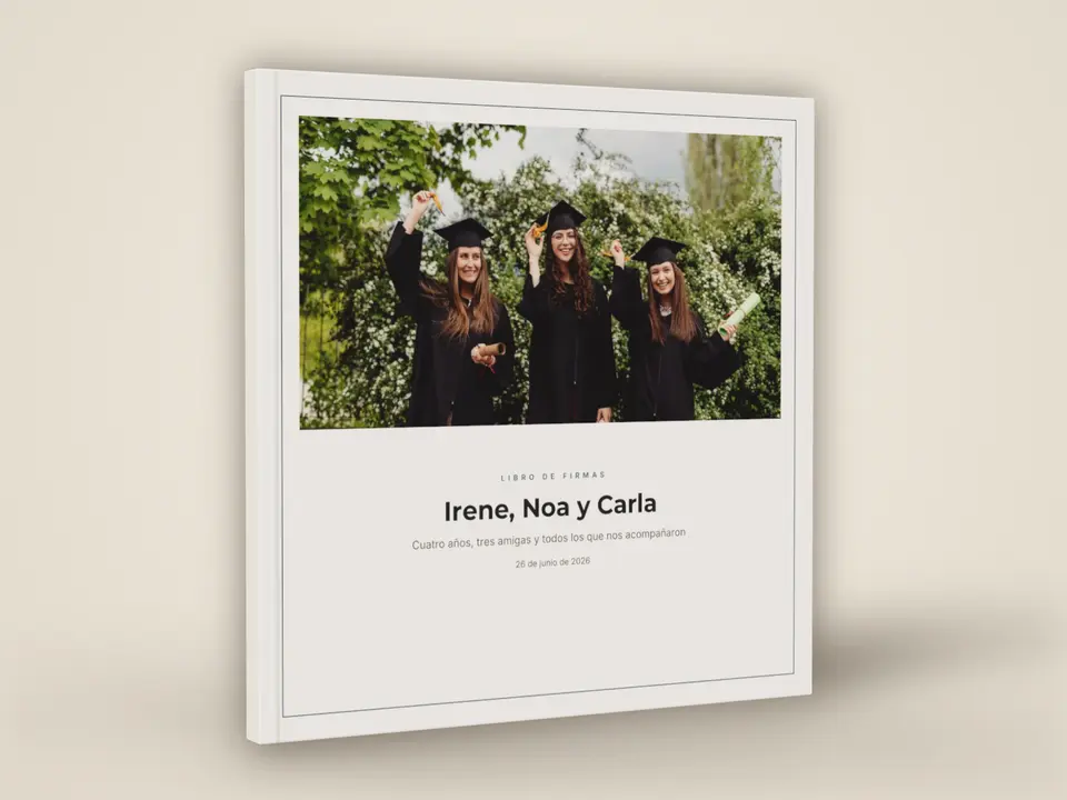 Representación de un libro fino cerrado con la portada «Irene, Noa y Carla»